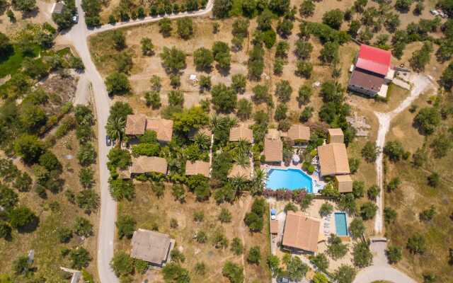 Garden of Eden Zante