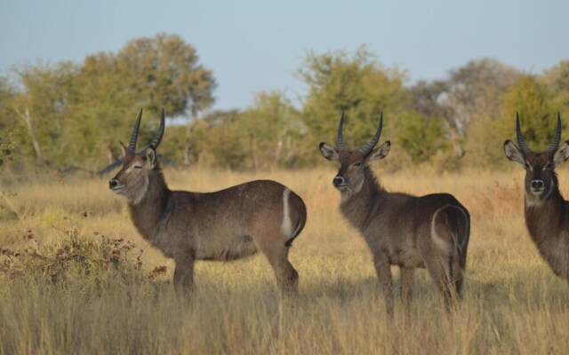 Mwandi View Lodge