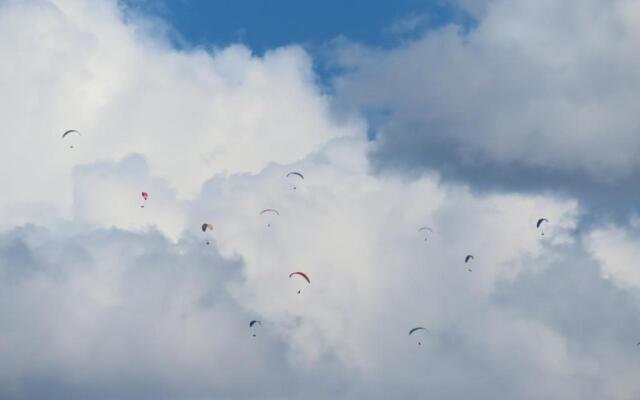 Vivienda Vacacional El Balcón de Villas Canarias