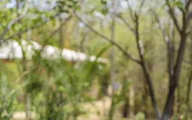 The Riverwood Forest Retreat - Pench