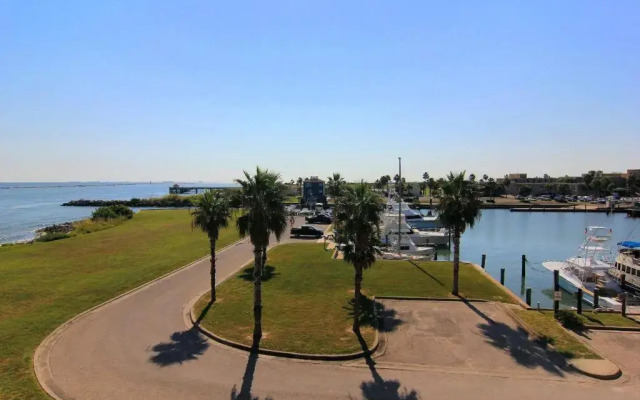 Channelview 205