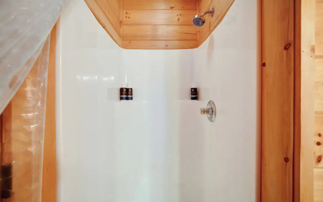 Mountain Haven in the Woods