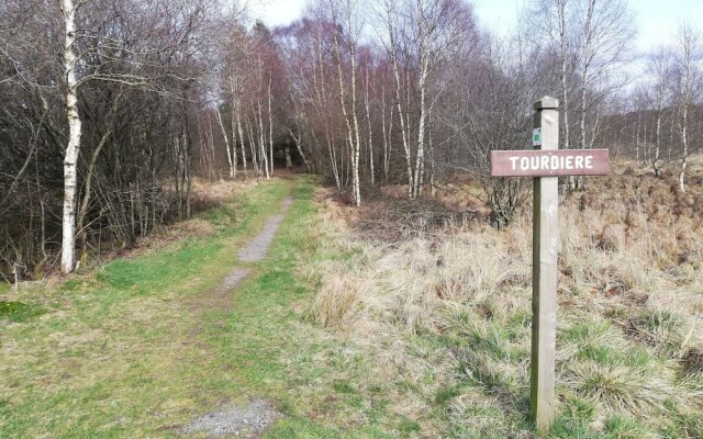 Escape in Hautes Fagnes