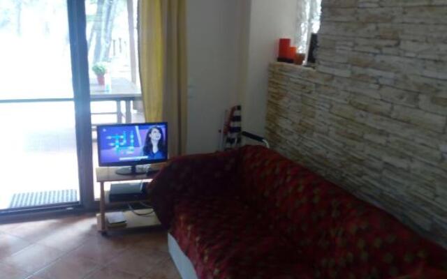 Sithonia Alekos Luxury Experience