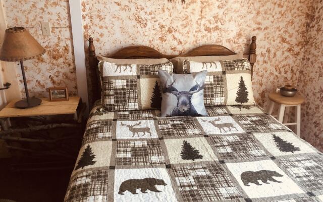 Wrangell Mountain Lodge