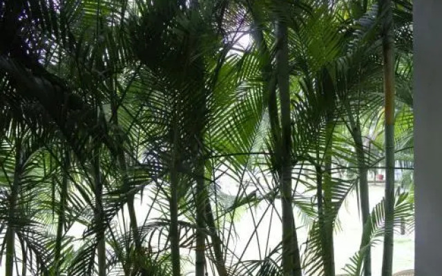 Mrugavani Resort & Spa