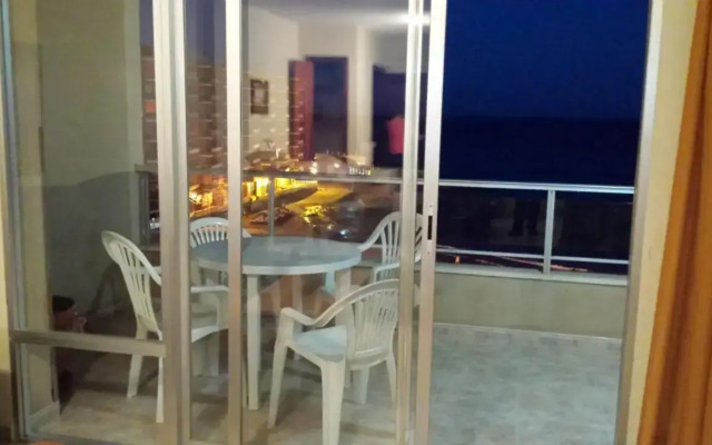 Palmeral de Torrevieja