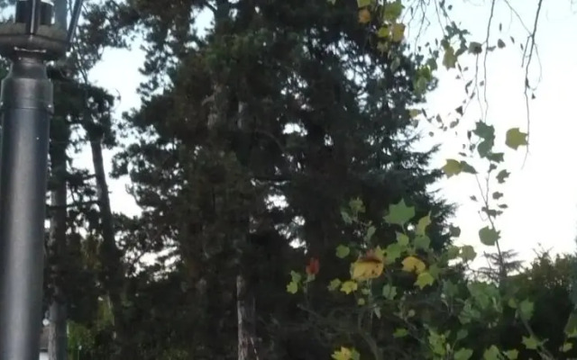 La Maison de Roussille