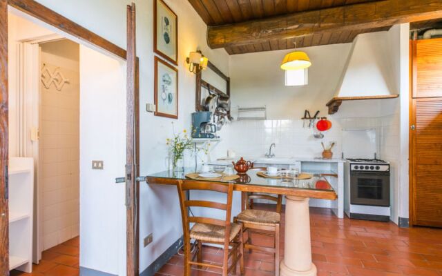 Podere Cima a Zano / Apt.Fienile PCA107