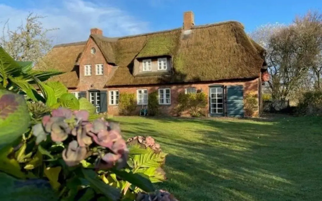 Traumstraße Bollis Huis 2