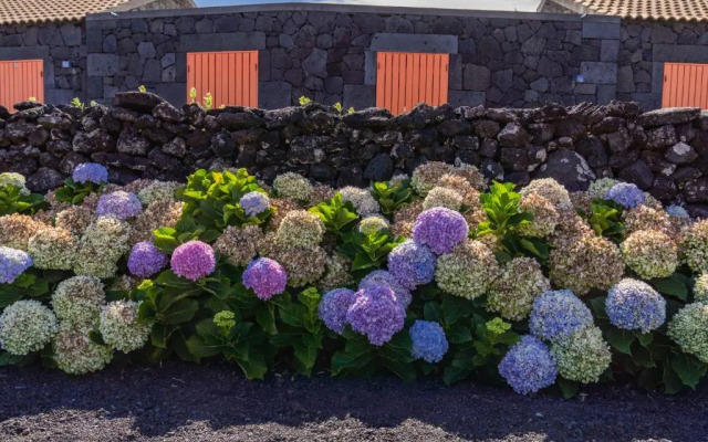 Paraíso do Triângulo