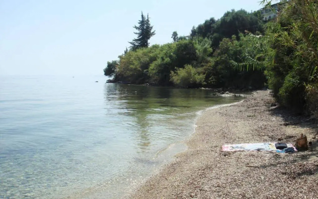 Pantazis Studios