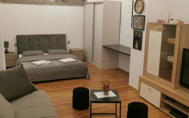 Central Designer Flat