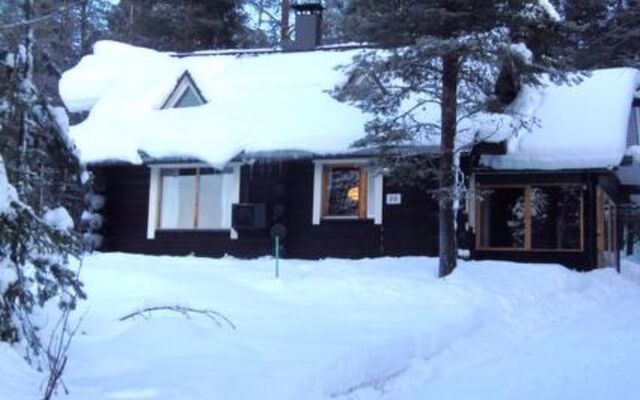 Tunturitähti, lainio