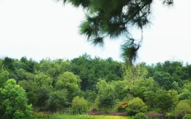 Wonderland Resort Nanjing