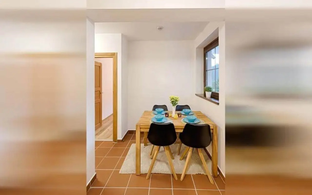 Spacious Apartment in Harrachov