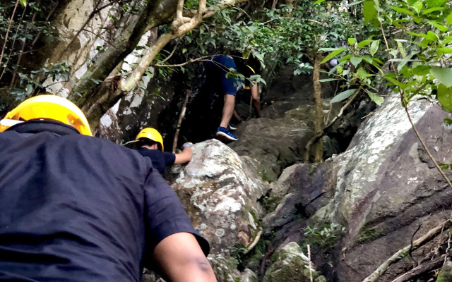 Arangala Forest Lodge