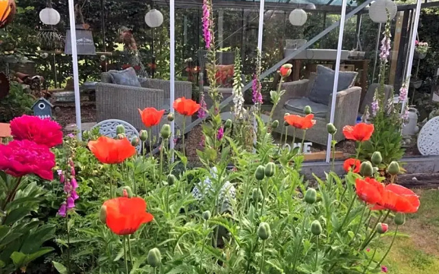 T’ Hogeland Ainrom