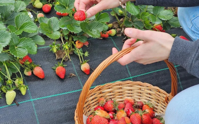 Quinta D'Joanes Douro