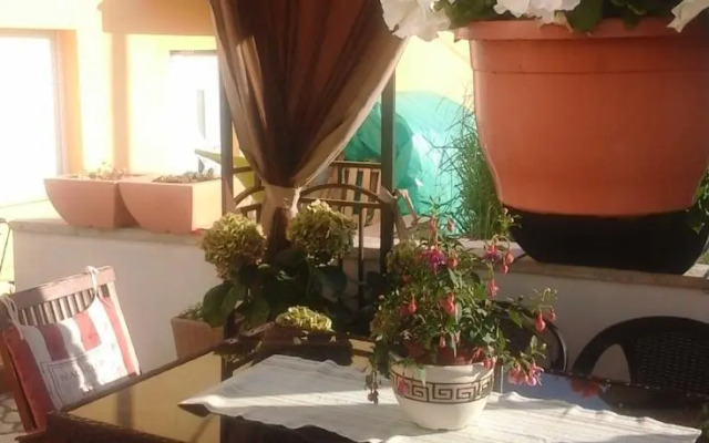 Apartment Ivana Diklo