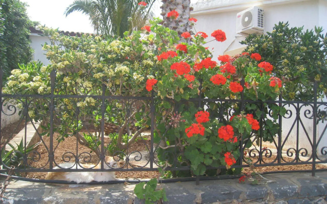 Athina Villas