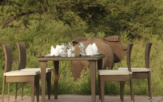 Spirit Of The Masai Mara