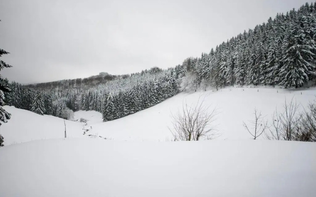 Romantikhütte Grafschaft