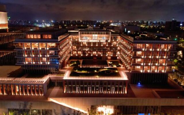 Stargale's Collection