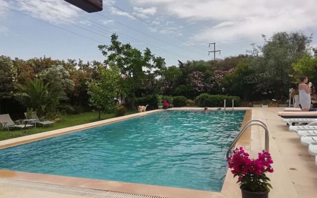 Green House Boğaziçi – Dodo House