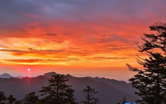 Shoufeng Bieyuan