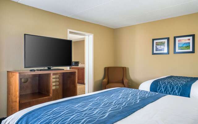 Comfort Inn near Rocky Mount Sport Complex