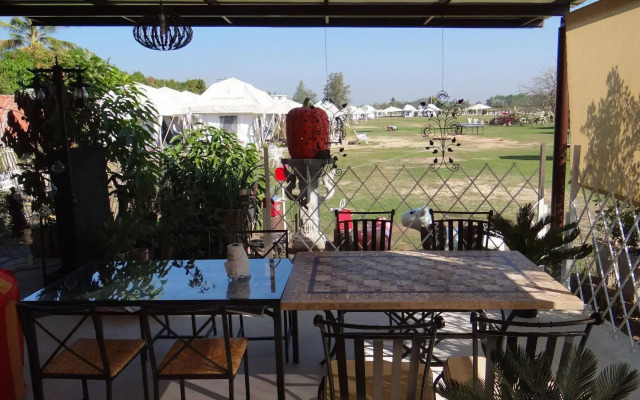 The Camping Field