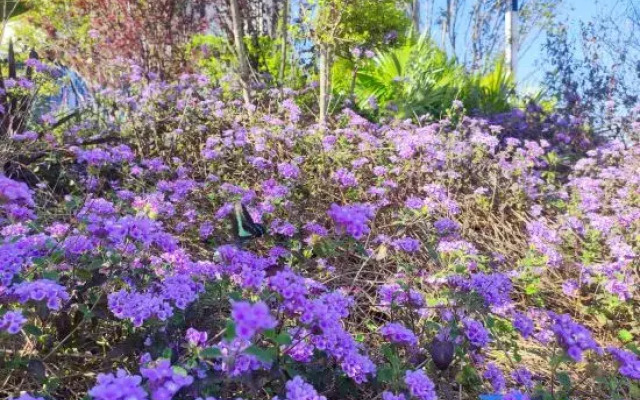 Rongchang Riel High-tech Hotel