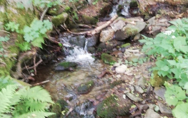 Vakantiehuis Cerny Dul 259