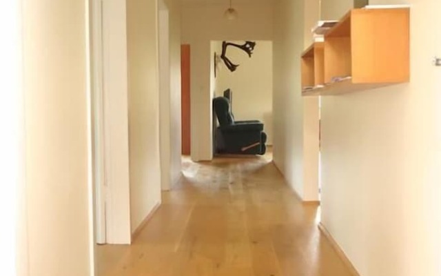 Thorbrandsstadir Farm Holidays