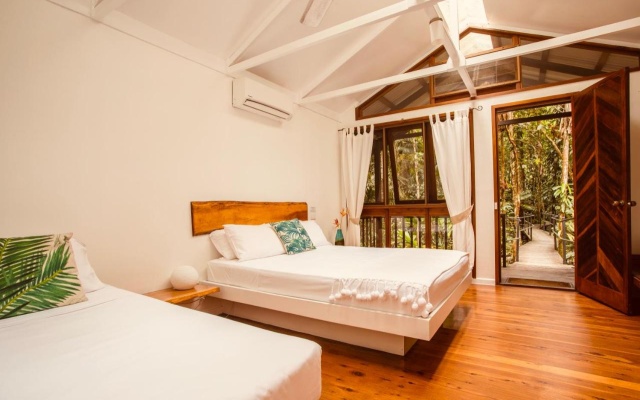 Daintree Wilderness Lodge