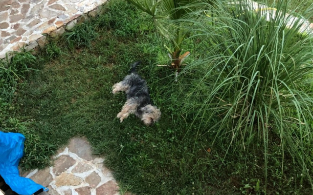 Sunshine villa Dzhigurovo