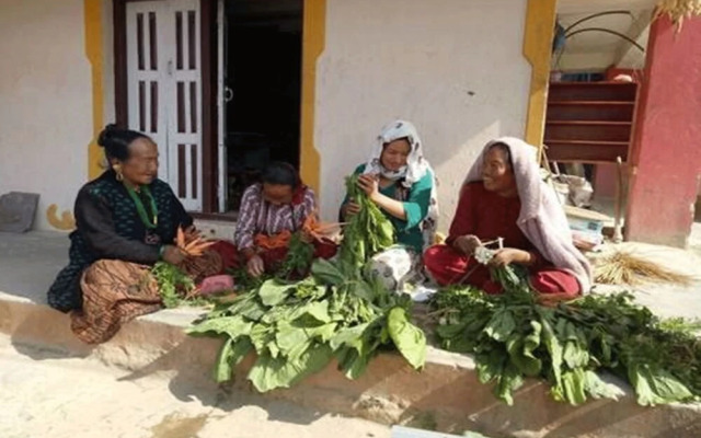 Bhattidanda Fresh & Natural Homestay