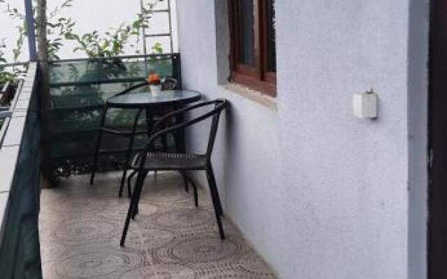 Cosy Accommodation in Zugdidi