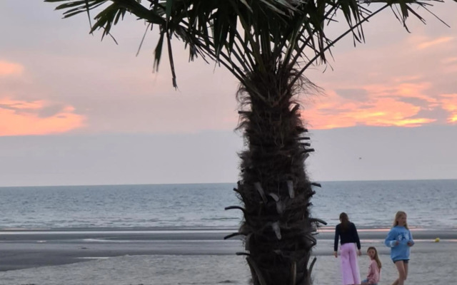 Vakantie appartement SAHARA - residentie Lindo II