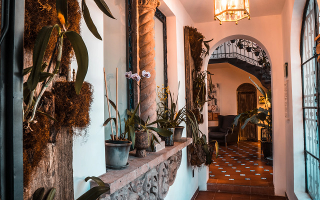 Orchid House Polanco