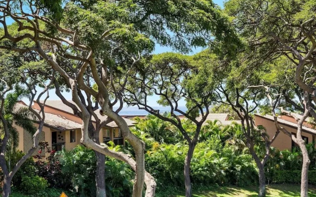 Palms At Wailea 604 2 Bedroom Condo