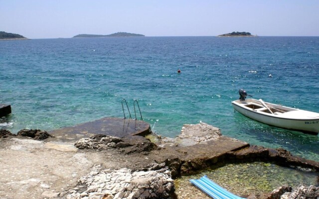 Rosemary - Gorgeous Garden - A1