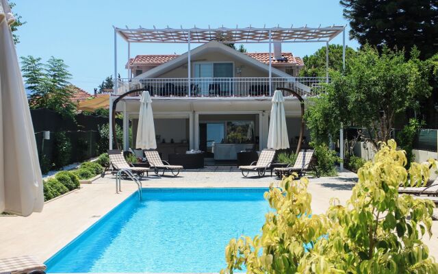 Arp Dalyan