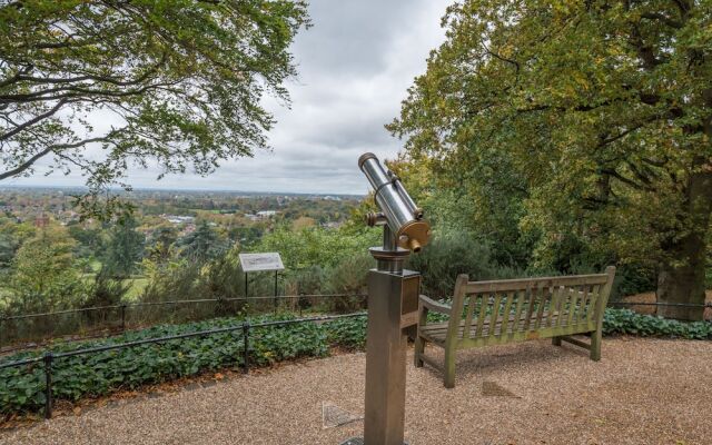 Luxurious Apartment by Richmond Park