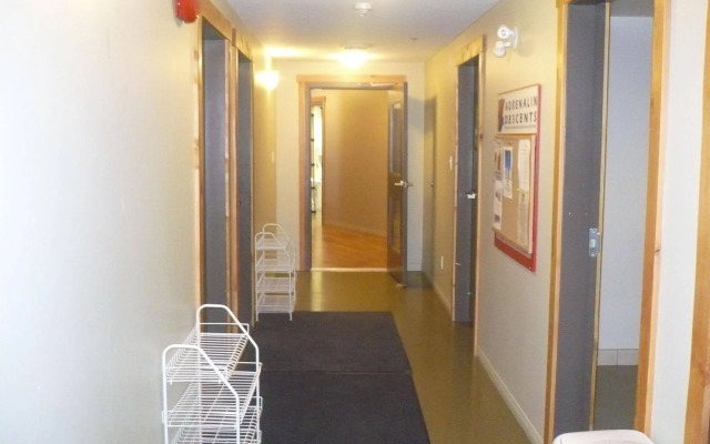 Basecamp Lodge Golden