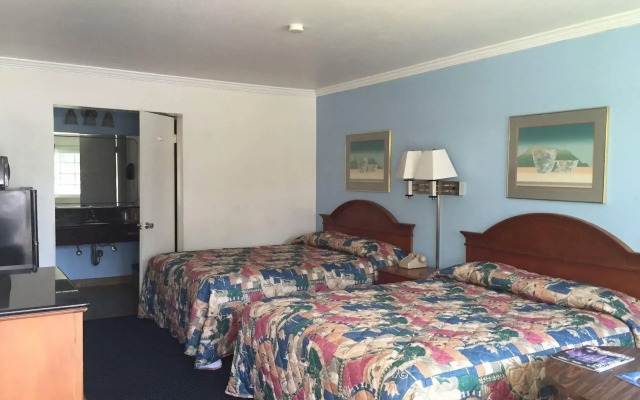 Willow Tree Lodge