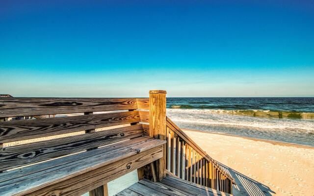 Higher Porpoise by Peace Vacations