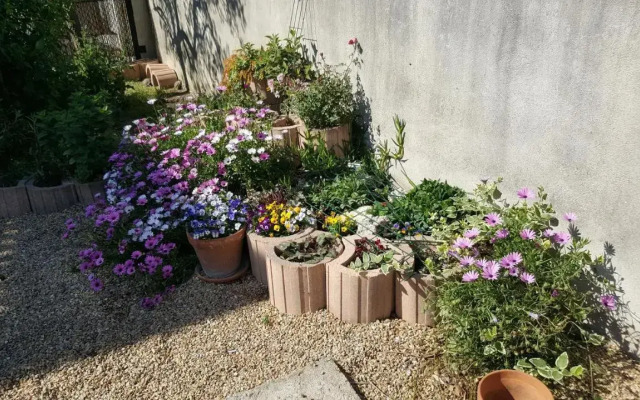 Appartement avec terrasse quartier Montplaisir