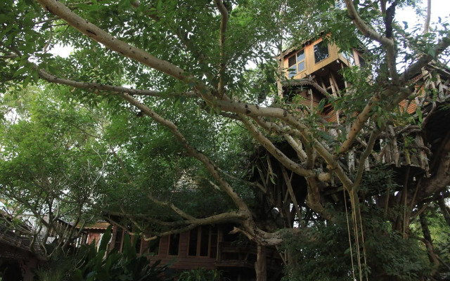 Pai Treehouse Resort